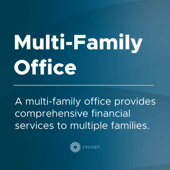 Multi-Family Office Platform | Bearbull Global Investments