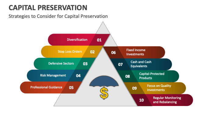 Capital Preservation PowerPoint and Google Slides Template - PPT Slides